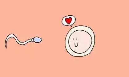 详细解读丹东市做长方案试管婴儿费用，长方案和短方案成功率有差别吗？