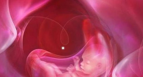 泰国做试管婴儿不成功退钱吗？为啥泰国试管会失败？