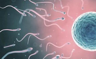 短效长方案只适合这两种人群请记住