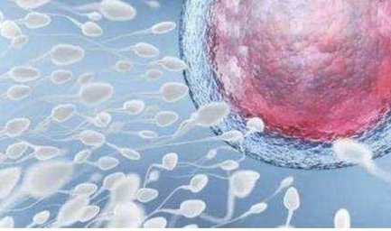 乌克兰地区有哪些私立的机构可以做试管技术？试管婴儿是在试管中长大的吗？