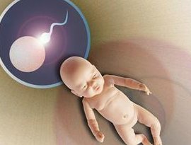 六安哪家医院不孕不育好（昆明不孕不育哪家医院的较好）